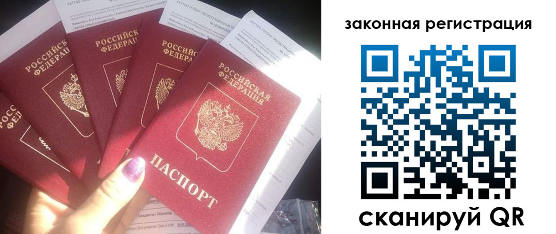 временная регистрация гарантия в Полярном