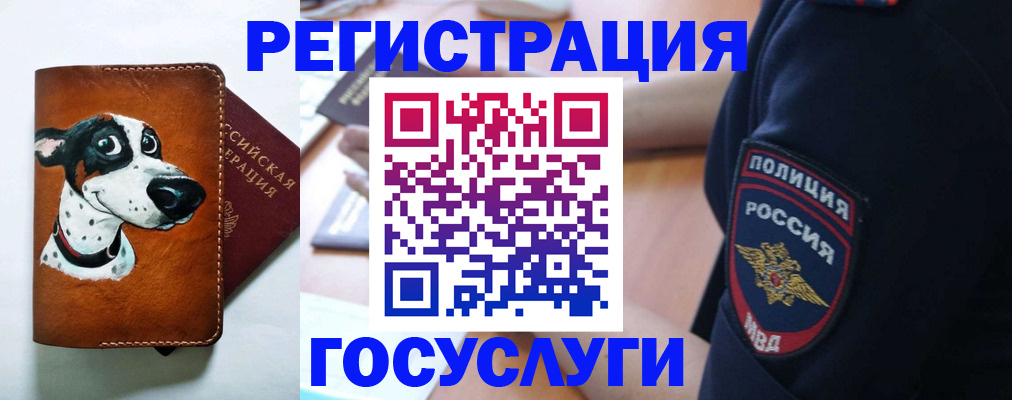 временная регистрация в квартире в Полярном